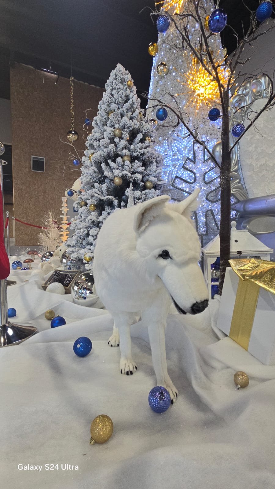 Décoration de Noël professionnelle - Centre E. Leclerc Noeux-les-mines