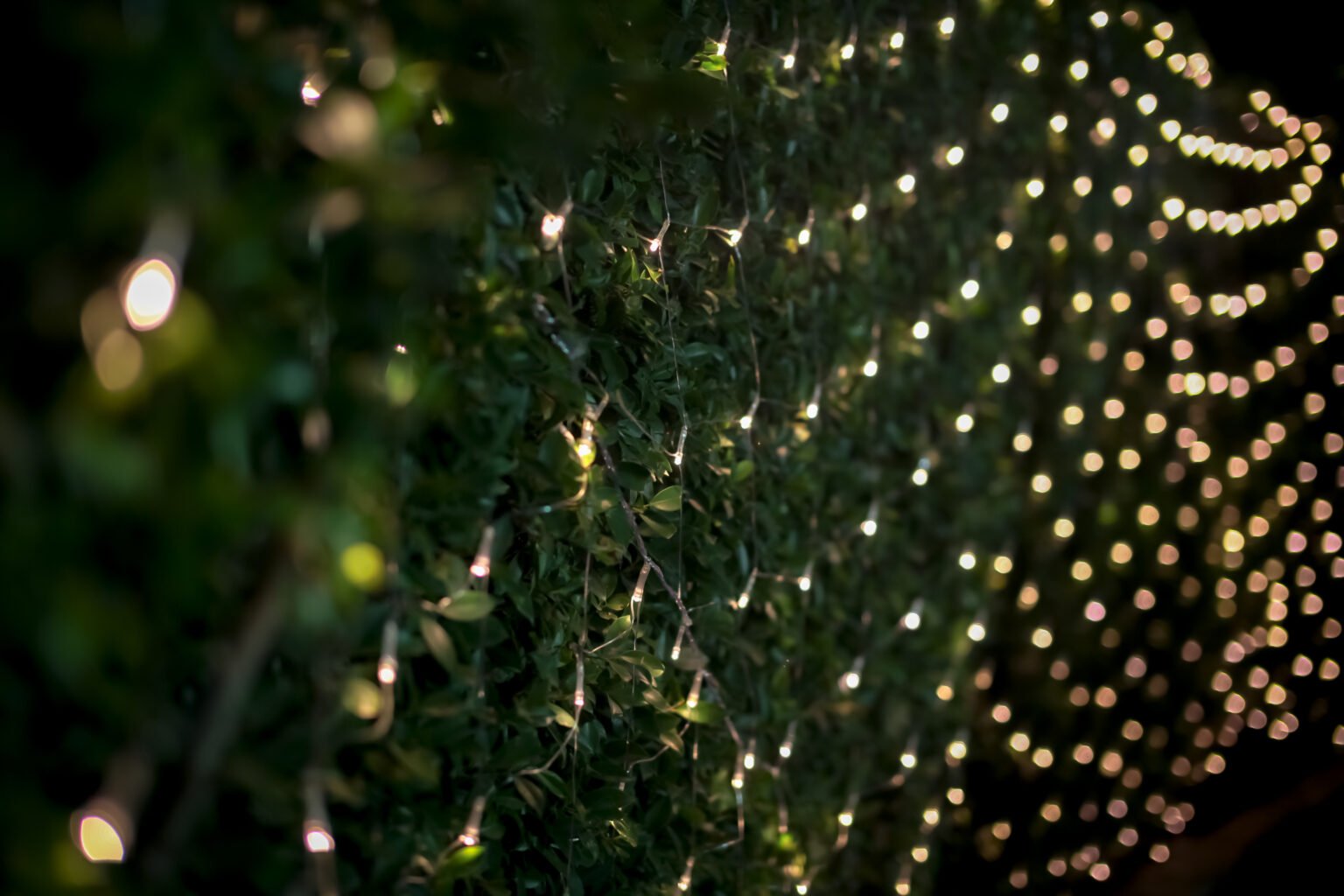 Filet lumineux LED maillage 3x2 mètres installation rapide arbre place publique commune illumination Noël économie temps pose professionnel