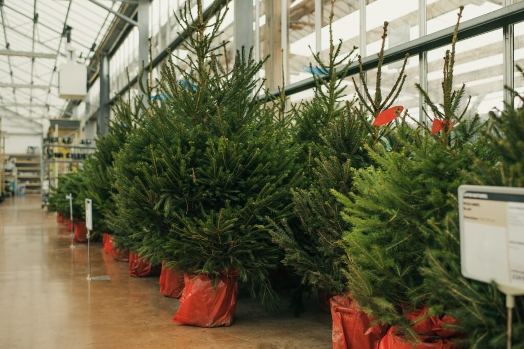 Comparaison sapin artificiel versus sapin naturel professionnel durabilité 20 ans réutilisation économie maintenance environnement centre commercial commune