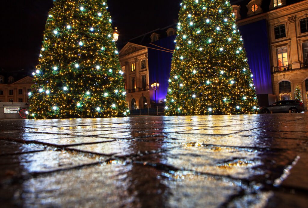 Équipe DM Conseil père paysagiste fils designer installation sapin géant 7 mètres commune mairie Hauts-de-France Picardie Île-de-France Noël professionnel